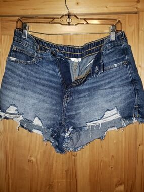 aerie Distressed Blue Denim Cutoff Shorts